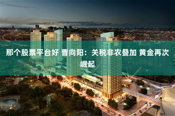 那个股票平台好 曹向阳：关税非农叠加 黄金再次崛起