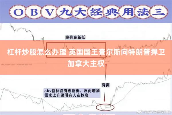 杠杆炒股怎么办理 英国国王查尔斯向特朗普捍卫加拿大主权