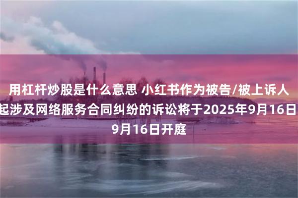 用杠杆炒股是什么意思 小红书作为被告/被上诉人的4起涉及网络服务合同纠纷的诉讼将于2025年9月16日开庭